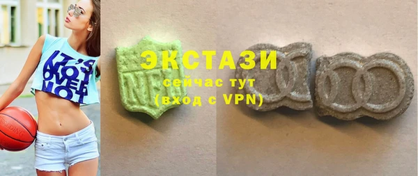 гашик Алексин