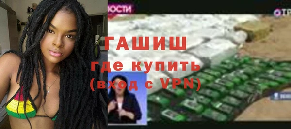 гашик Алексин