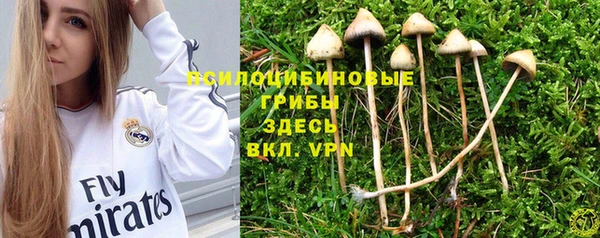 МДПВ Алзамай