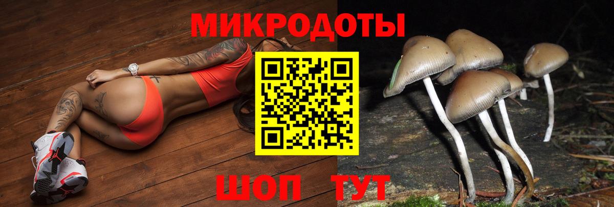 Тамбов  Галлюциногенные грибы прущие грибы  магазин    Вход с VPN  Псилоцибиновые грибы Magic Shrooms 